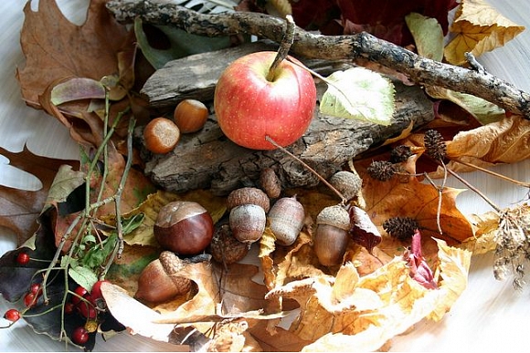 Rudens māksla